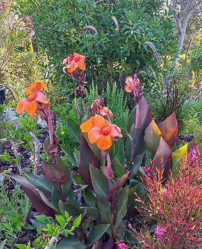 Casa Gemeas カルヴォエイロ