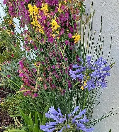Villa Casa Gemeas Carvoeiro (Lagoa)