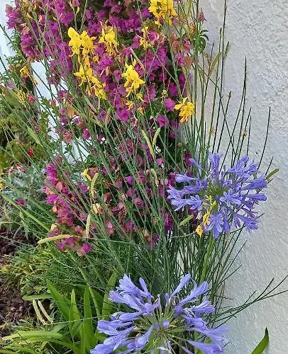 Vila Casa Gemeas Carvoeiro (Lagoa)